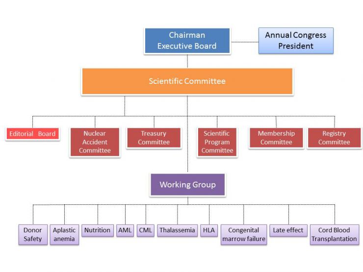 Organization_tree_10272017.jpg